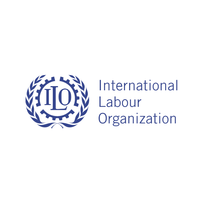  International Labour Organization (ILO)